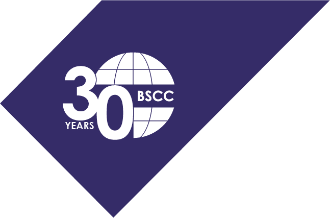 Building Specialized Contracting CO